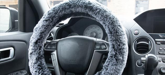 22-1-97660-9_iu_630px-1